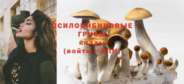 прущая мука Лихославль