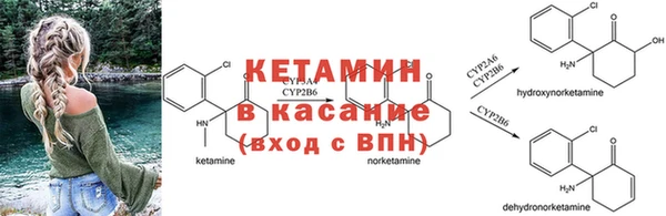 СК Липки