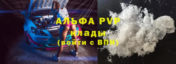 скорость Ладушкин