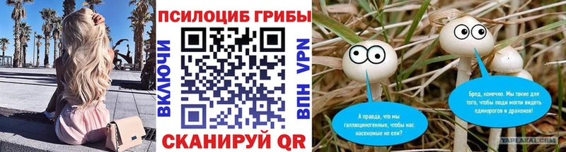 Псилоцибиновые грибы прущие грибы  Менделеевск 