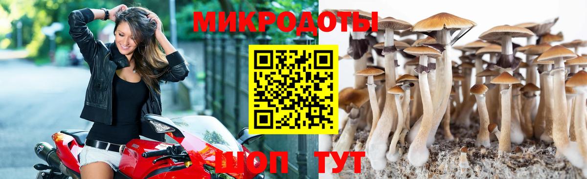 Псилоцибиновые грибы мухоморы Менделеевск