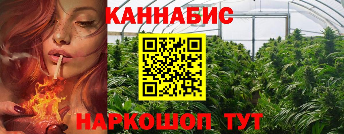 Шишки марихуана планчик Менделеевск